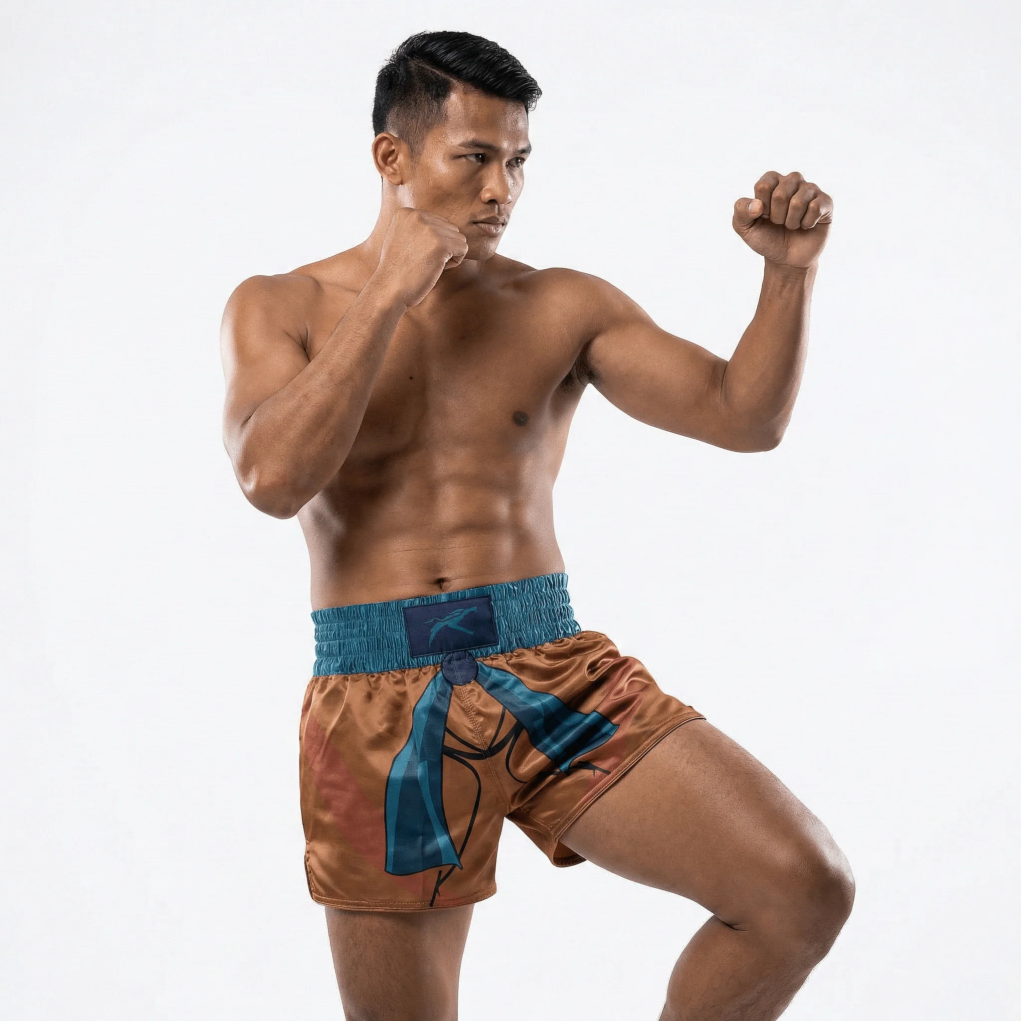 Kame Muay Thai Shorts - Image 3